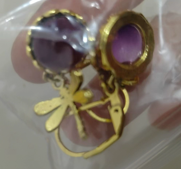 Women's Dragon Fly Ear rings