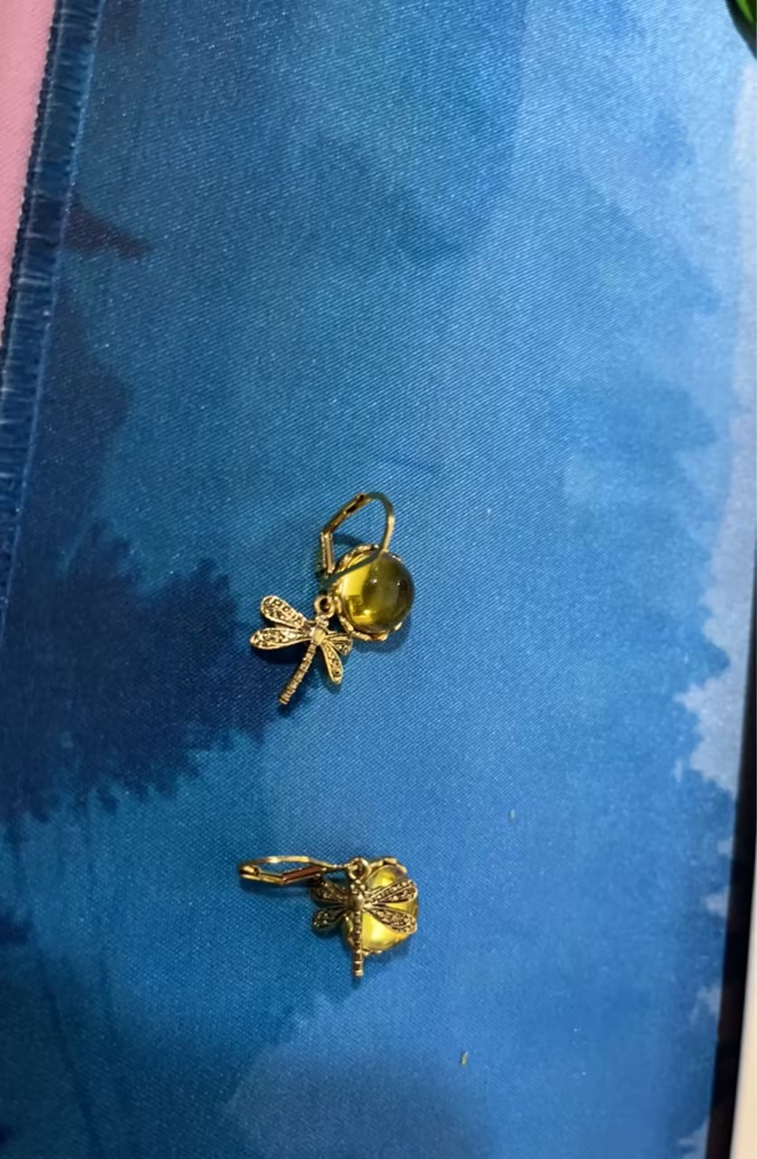 Women's Dragon Fly Ear rings