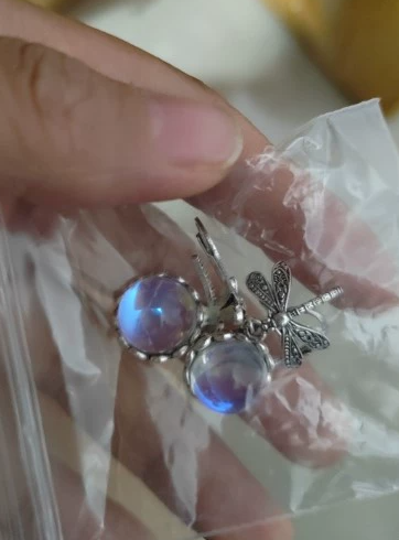 Women's Dragon Fly Ear rings