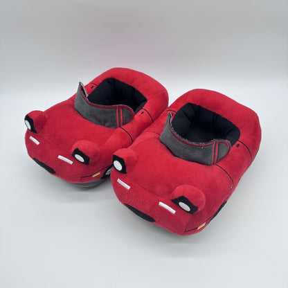 RacingRadiance Slides