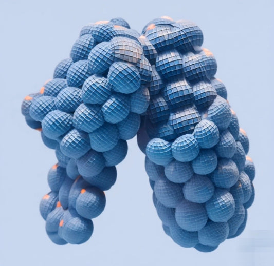 OpulentOmbre BubbleSlides